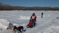 Open North American Championship Sled Dog Race