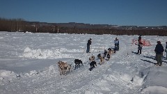 Open North American Championship Sled Dog Race
