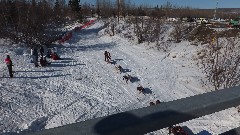 Open North American Championship Sled Dog Race