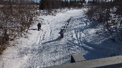 Open North American Championship Sled Dog Race