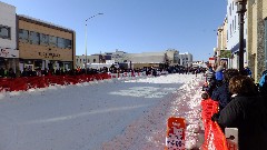 Open North American Championship Sled Dog Race