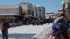 Open North American Championship Sled Dog Race