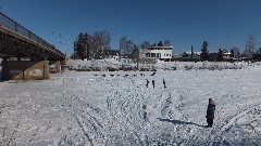Open North American Championship Sled Dog Race