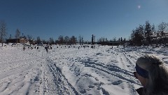 Open North American Championship Sled Dog Race