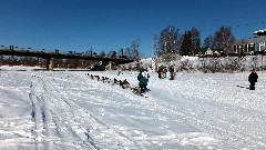 Open North American Championship Sled Dog Race