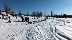 Open North American Championship Sled Dog Race