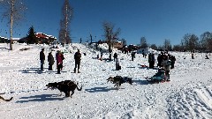 Open North American Championship Sled Dog Race