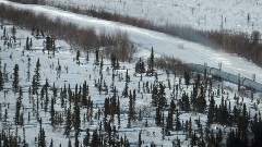 Dalton Highway; Fairbanks to Coldfoot