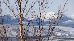 Dalton Highway Fairbanks to Coldfoot AK