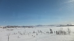 Dalton Highway Coldfoor to Atigun Pass