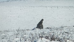 Dalton Highway Coldfoor to Atigun Pass