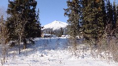 Wiseman AK