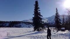 Sherry Lewis; Wiseman AK