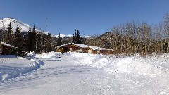 Wiseman AK