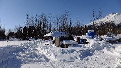 Wiseman AK