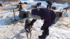 Ruth Bennett McDougal Dorrough; Coldfoot; Dog Sled Ride