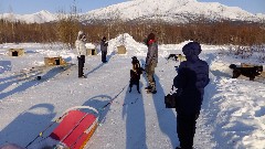 Dog Sled Ride; Slate Creek Inn; Coldfoot Camp AK