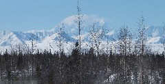 Mount Denali; Fairbanks to Anchorage by Train