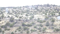 near Cottonwood, AZ