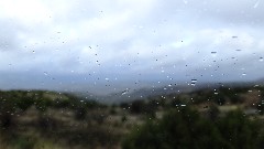 Arizona; Cottonwood