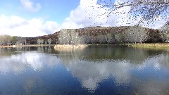 Arizona; Dead Horse Ranch state Park