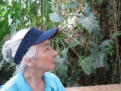 Ruth Bennett McDougal Dorrough;