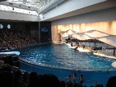 aquarium Baltimore MD