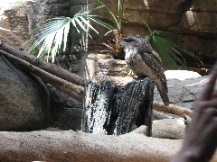 aquarium Baltimore MD