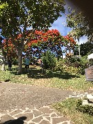 Bermuda;