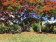 Bermuda; Laura McCandless, Ellery Kate Wheeler; Jacob Grant Wheeler; Kurt, Laura McCandless; Sarah Elizabeth Derry; Ben Dorrough;