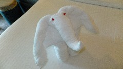 Towel Elephant; Royal Navy Dockyard; Bermuda,