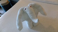 Towel Elephant; Royal Navy Dockyard; Bermuda,