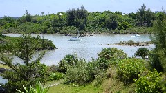 Railway Trail; Bermuda,