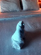 Towel Penguin; Norwegian Gem Cruise Ship