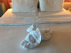 Towel aniumal; on Norwegian Gem Cruise Ship; Bermuda