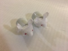 Towel Mice; Royal Navy Shipyard; Bermuda,