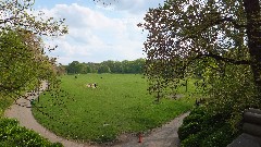 Prospect Park; Brooklyn NY