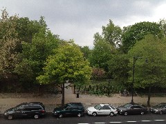 Prospect Park SW; Brooklyn NY