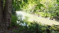 Brooklyn Botanical Gardens
