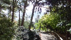 Brooklyn Botanical Gardens
