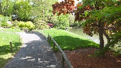 Japanese Garden; Brooklyn Botanical Gardens