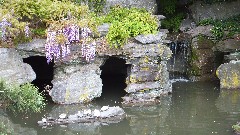 turtles; Brooklyn Botanical Gardens