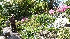 Ruth Bennett McDougal Dorrough; Brooklyn Botanical Gardens