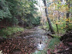 Beaverkill Stream; Trips; Catskills; Beaverkill Valley Inn