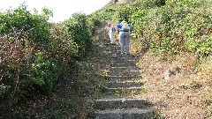 Ruth Bennett McDougal Dorrough; Sue Paterson; Channel Islands; Gurnsey