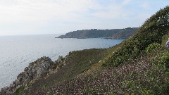 Channel Islands; Dan; 2019_09_21