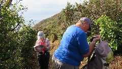 Ruth Bennett McDougal Dorrough; Sue Paterson; Channel Islands; Guernsey