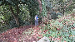 Sue Paterson; Channel Islands