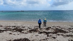 Ruth Bennett McDougal Dorrough; Sue Paterson; Channel Islands; Herm; Shell Beach