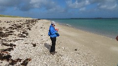 Ruth Bennett McDougal Dorrough; Channel Islands; Herm; Shell Beach